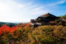 游览巨大的朱红鸟居、平安神宫、清水寺。可选择乘坐岚山观光小火车