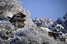 参拜著名的寺庙——立石寺