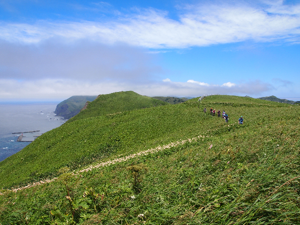 最北端の島へ 利尻島 礼文島の旅 にっぽんの島旅 東日本編 のオーダーメイド見積もり ウェブトラベル 最北端の島へ 利尻島 礼文島の旅 にっぽんの島旅 東日本編 のオーダーメイド見積もり ウェブトラベル