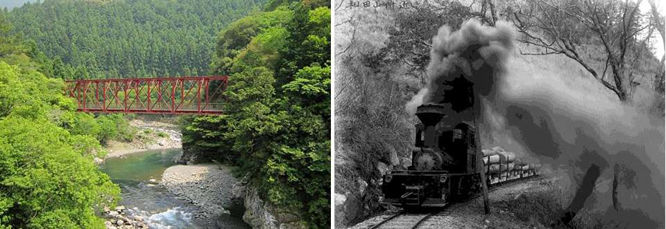＜STORY #051＞森林鉄道から日本一のゆずロードへ －ゆずが香り彩る南国土佐・中芸地域の景観と食文化－