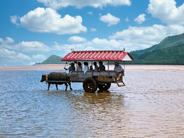 由布島への水牛車