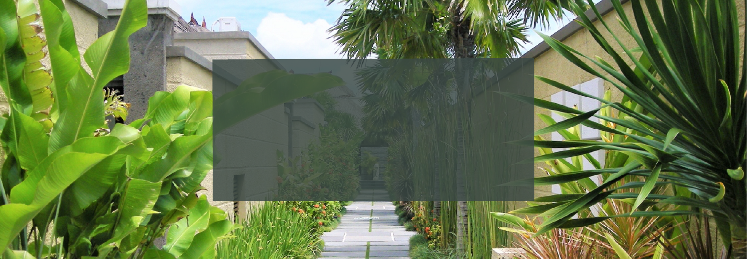 メインイメージ