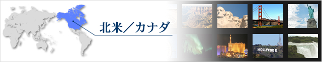 感動！　ニューヨーク５日間  999