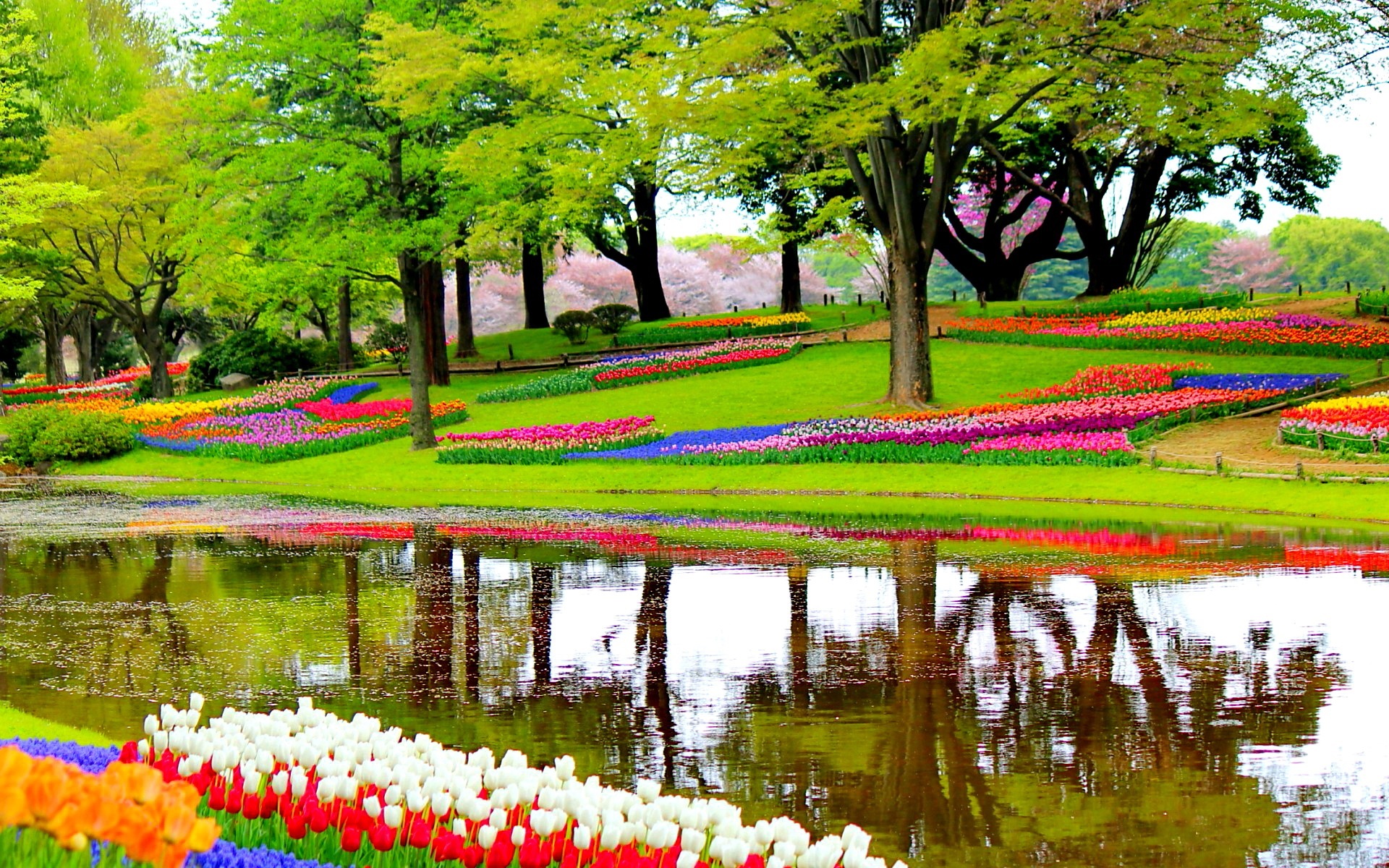 世界一美しい春の庭園　キューケンホフ