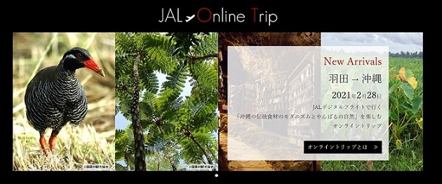 JAL、オンライントリップの専用サイトを開設