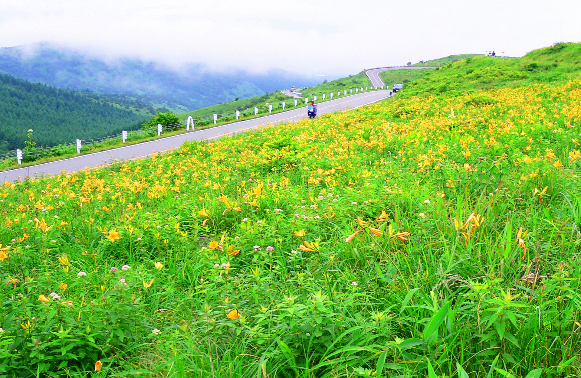 第1回 夏の高原を走る・ビーナスラインと信州・上諏訪温泉「ホテル紅や」1泊の旅