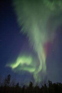 Y様ご夫妻／ホワイトホース　オーロラの旅