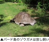 Ｔ様／セイシェル13日間