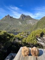 U様／ｳｫﾝﾊﾞｯﾄをたっぷり楽しみつつ先住民ｱｰﾄを楽しむ　ﾀｽﾏﾆｱ･ｼﾄﾞﾆｰ11日間