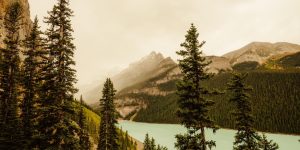 B様ご家族／バンクーバー近郊　親子二人旅