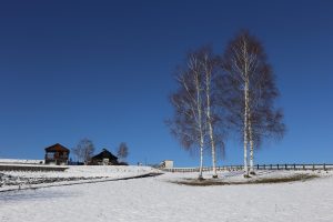 O様　家族で楽しむ北海道旅行（3日間）