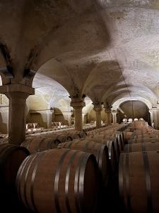 Ｓ様／イタリアワイナリー9日間