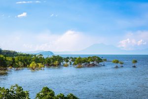 N様／ハネムーン in オーストラリア　ケアンズ・グリーン島7日間