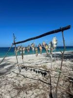 Ｋ様／ペンバ島ダイビング旅行