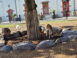 N様ご夫妻／ヨーロッパ（ベルキー／フランス)　