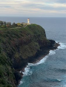 T様ご家族旅行/カウアイ島の自然に触れる旅9日間
